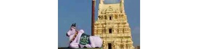 241. திருக்கச்சிநெறிக்காரைக்காடு